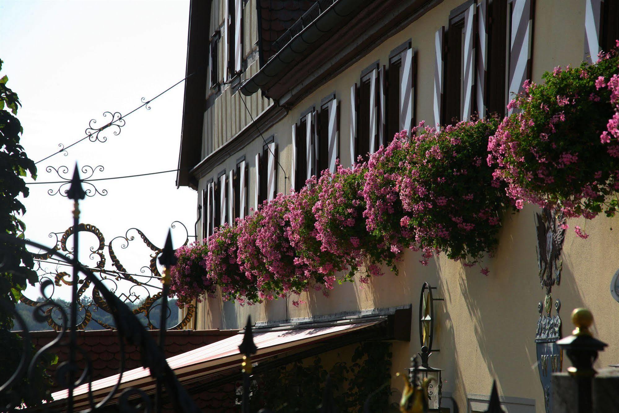 Hotel Brauereigasthof Landwehr-Braeu Reichelshofen Екстер'єр фото